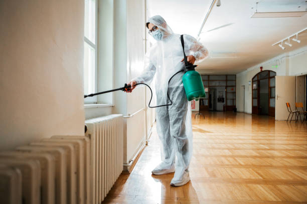 Best Organic or Eco-Friendly Pest Control  in East Hills, NY